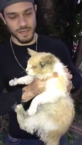 43K views · 4K reactions | Felipe Becari on Reels | Facebook