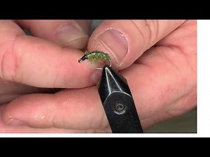 Fly Tying for Beginners: Olive Scud