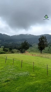 Kodaikanal sightseeing packages #kodaikanal😍 #trending #kodaikanalhills⛰️ #kodai #reels | Kodaitourmaker