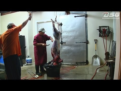 Deer Processing (Skinning Deer with Winch, Gutting & Final Processed Meats)