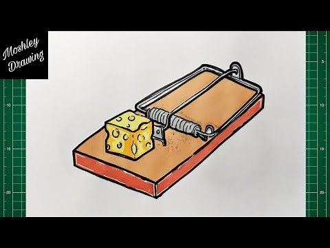 How to Draw a Mouse Trap