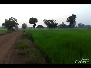 เบ็ด กบ ตัวใหญ่มากๆๆๆ#อีสานบ้านเฮา