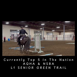 Available here at the AAQHC! • Extra Dirty Martini • 2016 Gelding • Trail, Western Riding, Pleasure, & Halter Stop by and visit us here in the Gilligan barn! Contact for more information: Mark 618-407-3221 or Brendon 217-619-1546 | Mark Harrell Equine Marketing