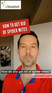 4.1K views · 130 reactions | How do you know if you have spider mite...