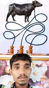 168K views · 1.2K reactions | #ퟏퟎ퐓퐡퐢퐧퐠퐬 #knowledge #facts #reels #beauty #technology #viral #trending #home #girl | Sajid vlogs | Facebook