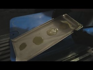 West Fest Making Bubble Hash with Nikka T