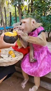 1.3K views · 33 reactions | Princess YaYa so yummy  | YaYa Note | Facebook