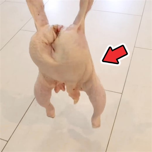 33K views · 450 reactions | How To Make Katsu Curry! 襤 | HowToBasic | Facebook