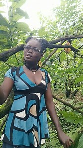 2.1K views · 119 reactions | Some of my chocolate daddies have erectile dysfunction. VeryDarkVirginGirl Cucumber勒 poet | Emilia Ayuk | Facebook