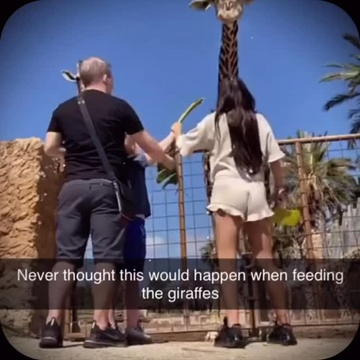 12K views · 1.1K reactions | The Devil hates this prayer to break every chain holding you back!  #God #Faith #Jesuslovesyou #Bibleverse | Christ's Crusaders | Facebook