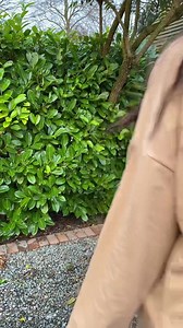 1.1K views · 34 reactions | We have so many fabulous colours in our Scoop Neck Jumper Trisha! Available today at Tilletts ❤️ #tillettsclothing #fashioninspo #comfortablefashion #womensclothing #styleideas #winterstyle #winterstyle | Tilletts | Facebook