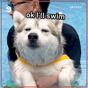 647K views · 2.9K reactions | me at the pool. | 9GAG | Facebook