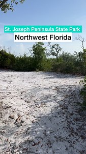 Did you know that St Joseph Peninsula State Park has a group camping site that can host up to 30 people? Tent pads are scattered throughout a scenic area and restrooms and cold showers are close by. A campfire circle is in the middle of it all with views of the water right off to the side. It’s the perfect place to bring scouts, a youth group or even your extended family. 📍: @gulfcountyfl | Northwest Florida Beaches