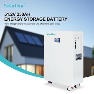 [Hot Item] Supplier Selling Lithium Ion Battery 51.2V 230ah Rack Mount LiFePO4 Battery Pack