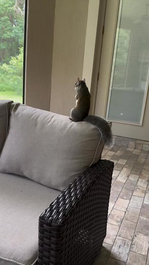 5.9K views · 325 reactions | so the abscess is draining slowly on its...