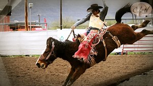 10K views · 241 reactions | The Tohono O'odham Nation Rodeo & Fair was Epic this year. Take a look at the Highlights. #Native #AkChin #Rodeo #Wrangler #Cowboy #NoBullAuto | Cowboy Lifestyle Network | Facebook