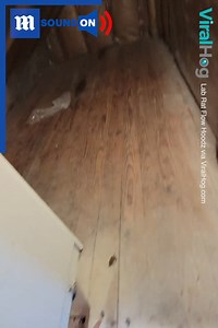 You never know what’s hiding behind a shelf! 🤯 Via ViralHog | Daily Mail Video