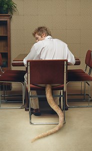 Millions of Years Ago, Our Ancestors Had Tails — But We Can Thank a Gene Mutation for Why We Don't