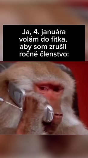 Tak nabudúci rok🤣#slovensko #cvicenie #slovakia #fitness | Živím sa tvorením meme obrázkov