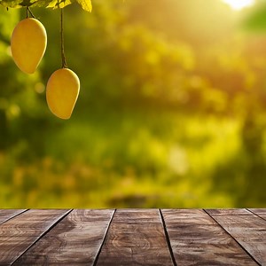 Mango Magic in a Sip! 🥭🌟 #Quice #QuiceMango #Quicefruitdrink #FruitDrink #Refreshing #ThirstQuencher #SummerSips #FruitInfusion #HealthyDrinks #DrinkUp #FruityGoodness #TropicalTreat #YummySips #DeliciousDrinks #FruitFiesta #FruitCrush #SipAndEnjoy #FruitBliss #DrinkYourFruits #NaturallySweet #HydrationStation #FreshandFruity #SipandSavor | Quice Food Official