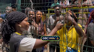 6K views · 130 reactions | Are you as excited as this woman or your story is different? #Election2024 #GhanaWins | GTV Ghana | Facebook