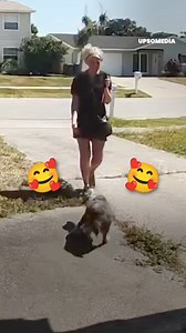 43K views · 356 reactions | This woman hadn't even realized her #dog had escaped, but luckily her neighbor returned her safe and sound. 來 | The Kiwi | Facebook