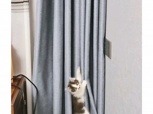 【Q小马识途Q】我的最新作品，快来一睹为快！