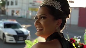 ¡Bienvenida #AndreaMeza a nuestra familia de #Telemundo! 👏🏼💥🍾 | Telemundo Lifestyle