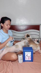 2.7M views · 10K reactions | SINO UMAWAY KAY HERSHEY???? UMAMIN SIYA! | Furmomkhai | Facebook