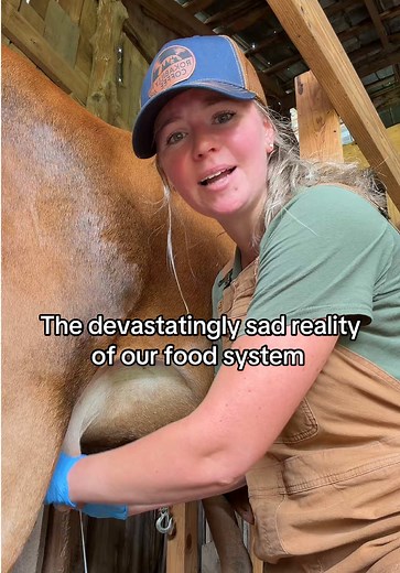 The devastatingly sad reality of our food system