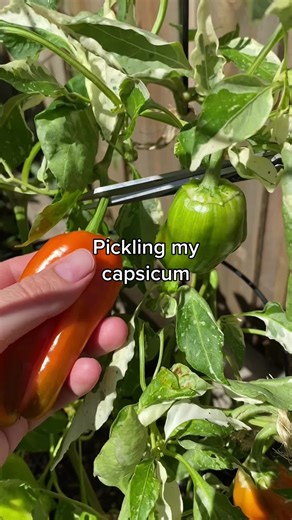 Lucy The Maker on TikTok