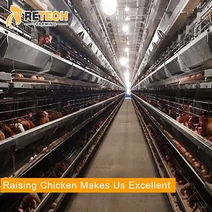 [Hot Item] Philippines chicken poultry automatic layer battery cage for laying hen