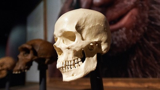 Researchers Find Evidence of 'Microevolution' in Humans