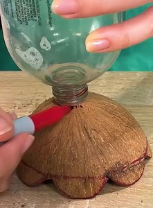 41K views · 61 reactions | Coconut shells crafted into home essentials! | 5-Minute Crafts Family | Facebook