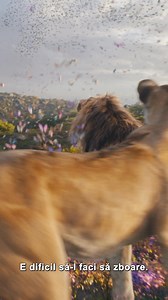 Îndrăgostește-te de coloana sonoră din Mufasa! 🧡🎶 #Mufasa: Regele Leu, în cinematografe din 18 Decembrie. | CineForum