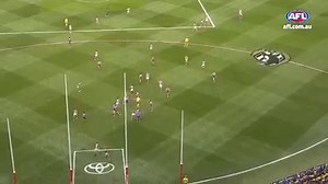 291K views · 205 shares | Was Will Schofield the real reason why the Eagles won the flag?  West Coast's BACKchat podcast gives a rare insight into the biggest moment of the Grand Final. | AFL | Facebook