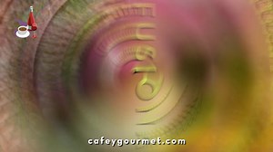 11 reactions | ¿Ya conoces Expo Café & Gourmet Guadalajara? | Expo Café & Gourmet -Guadalajara | Facebook