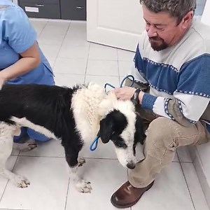 26K views · 411 reactions | L-am dus pe REXI la control dupa o...