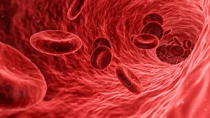 Der MPC Traubenkernextrakt >> http://bit.ly/MPC-Traubenkernextrakt , enthält besonders viele Monomere (Monomere ProanthoCyanidine), weil er von Trauben einer ganz speziellen Sorte stammt. Das bedeutet, dass die Bioverfügbarkeit viel größer ist als bei gewöhnlichem OPC, über 30 Mal so hoch. Die Wirkung ist prinzipiell dieselbe, nur eben viel stärker. MPC-Traubenkernextrakt ist eines der stärksten Antioxidantien der Welt. Dieses wird ausschließlich von Traubenkernen aus der Champagne in Frankreich