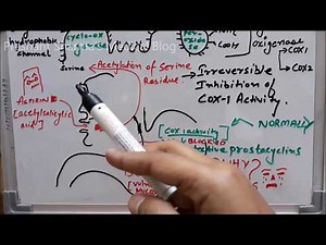 Inhibition of Cyclooxygenase Isoforms by Aspirin and its side effects explanation