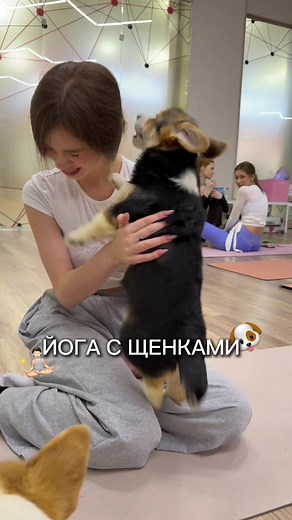 Йога с щенками: первый опыт и эмоции