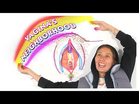 VULVAS & VAGINAS *remake*