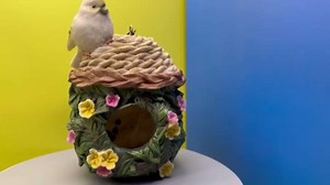 Hanging Bird House, Backyard Guest Resin Tiny House House for Bird, Yard and Garden Decoration Hand-Painted Bird Houses, Bird Playground, Gifts for Bird Lovers (Flower and Bird)