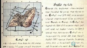 ¿Es el Codex Seraphinianus el libro más extraño jamás escrito? Nada se sabe de su contenido, en qué idioma está escrito, qué realidad paralela describe, qué representan las formulaciones biológicas y naturalistas que lo ilustran o qué greografías reflejan sus mapas...¿Es un delirio creativo sin trascendencia o como algunos creen, inlcuido su autor, es el medio empleado para establecer comunicación con nuestro mundo? | Literland