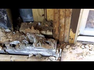 How to fix Termite Damage in homes 770-889-0954.mp4