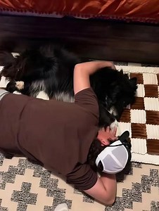 9.2K views · 36 reactions | MŮJ PES NAJEDNOU ZAČAL KAŽDOU NOC SPÁT SE...