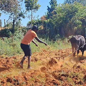 Atitongwe nema Salad. | Darling Media Visual Arts