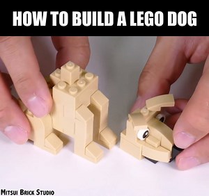 Beyond the Brick on Reels