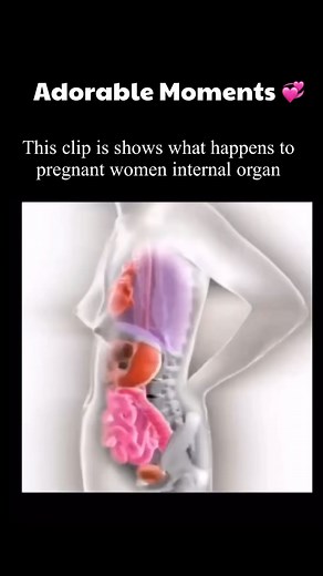 11K views · 11 reactions | ✨What happens to pregnant women internal...