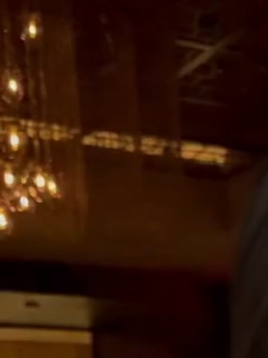 #carolinatigro #gans96